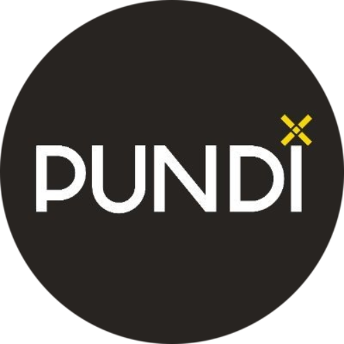 Pundi X